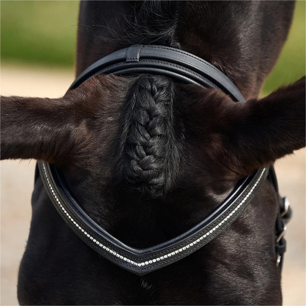 2026 Dublin Padded Comfort Crown Crystal Flash Bridle 1031500 - Black